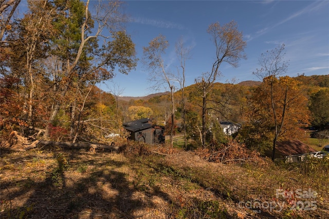 13 Bassett Rd, Asheville, NC 28804 - photo 1