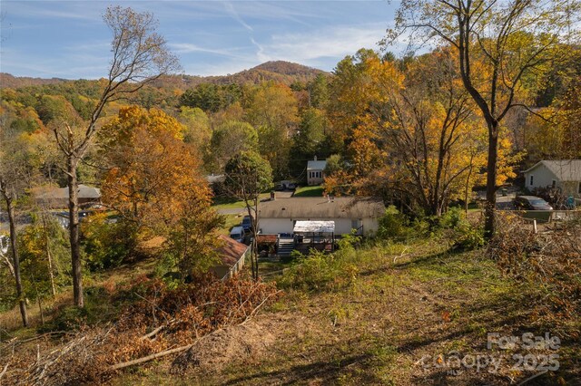 13 Bassett Rd, Asheville, NC 28804 - photo 9