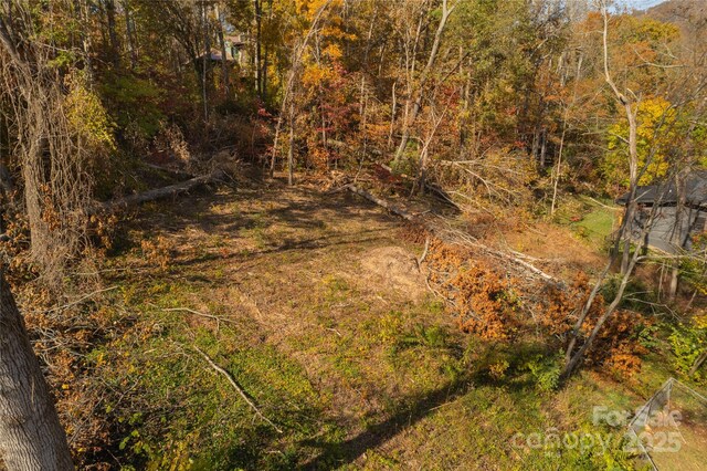 13 Bassett Rd, Asheville, NC 28804 - photo 10