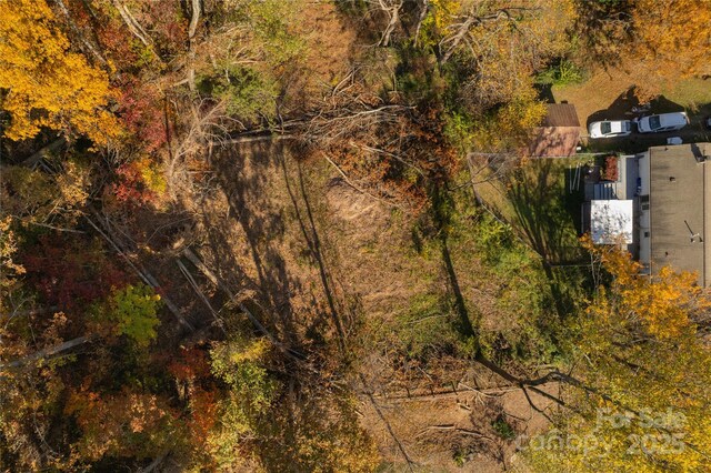 13 Bassett Rd, Asheville, NC 28804 - photo 14