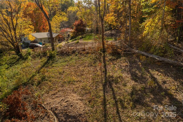 13 Bassett Rd, Asheville, NC 28804 - photo 11