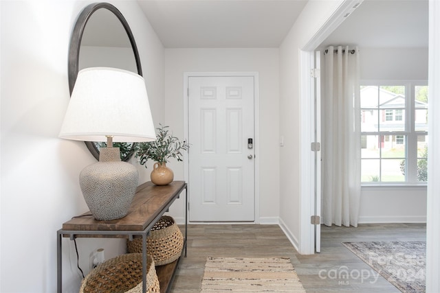 foyer entrance featuring light hardwood / wood-style flooring