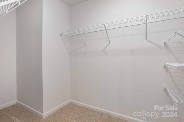 spacious closet with carpet flooring