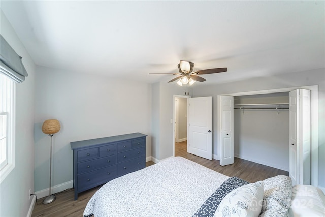 bedroom featuring a closet, ceiling fan, and dark hardwood / wood-style floors