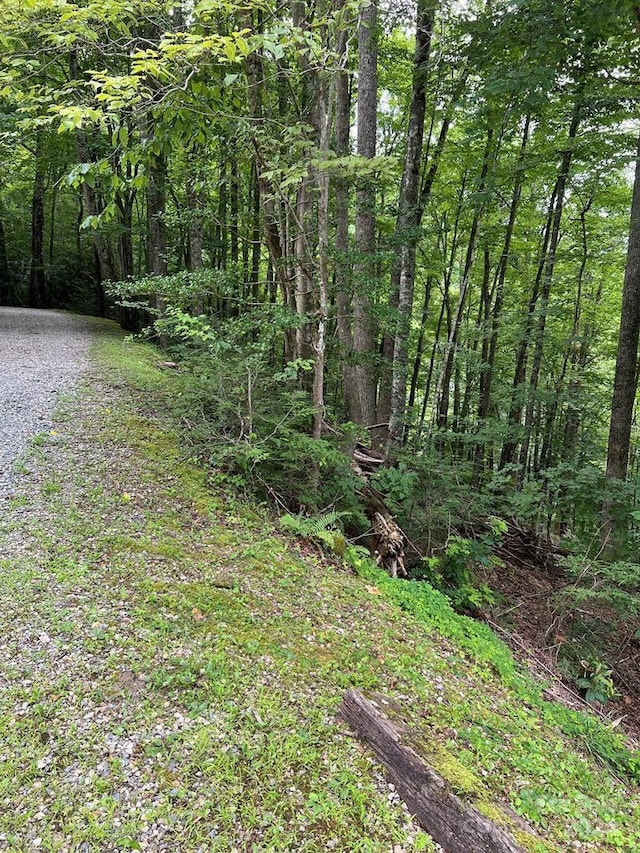 LOT3SEC3 Rhododendron Dr, NC, 28781 land for sale