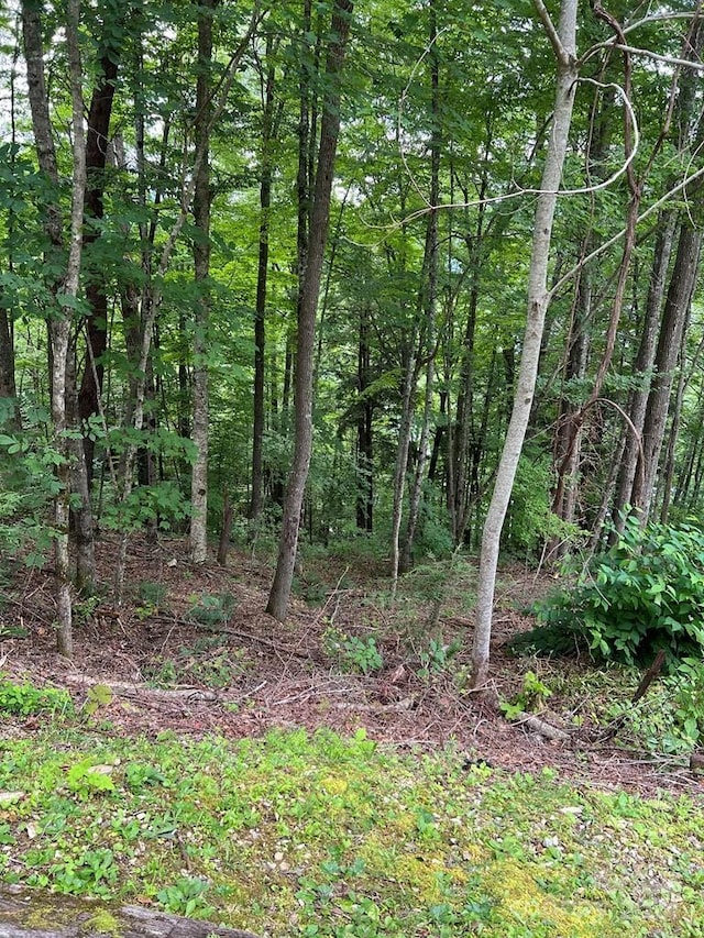 Listing photo 2 for LOT3SEC3 Rhododendron Dr, NC 28781