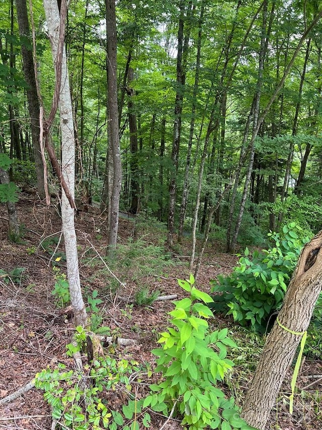 Listing photo 3 for LOT3SEC3 Rhododendron Dr, NC 28781