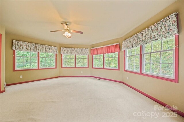 5580 Greenville Hwy, Brevard, NC 28712 - photo 36