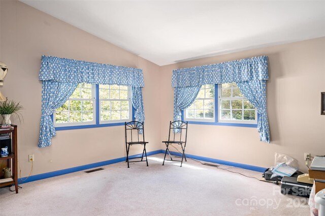5580 Greenville Hwy, Brevard, NC 28712 - photo 40