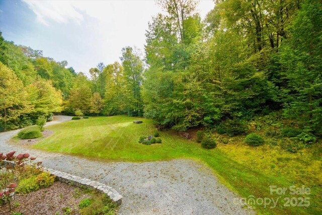 5580 Greenville Hwy, Brevard, NC 28712 - photo 43