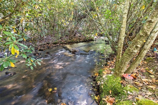 5580 Greenville Hwy, Brevard, NC 28712 - photo 47