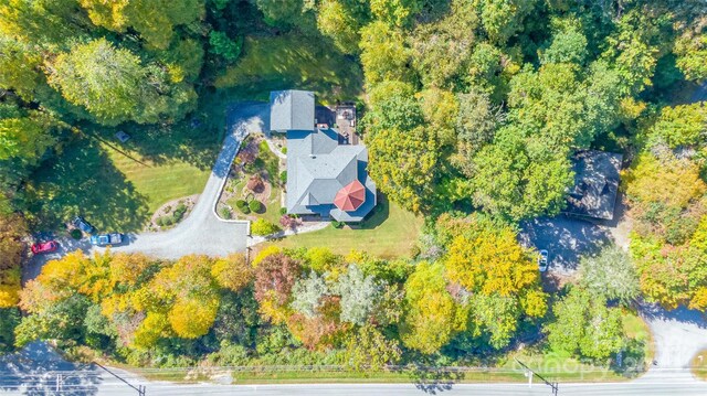 5580 Greenville Hwy, Brevard, NC 28712 - photo 48