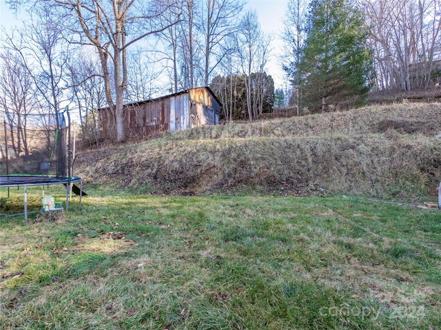 view of yard featuring a trampoline