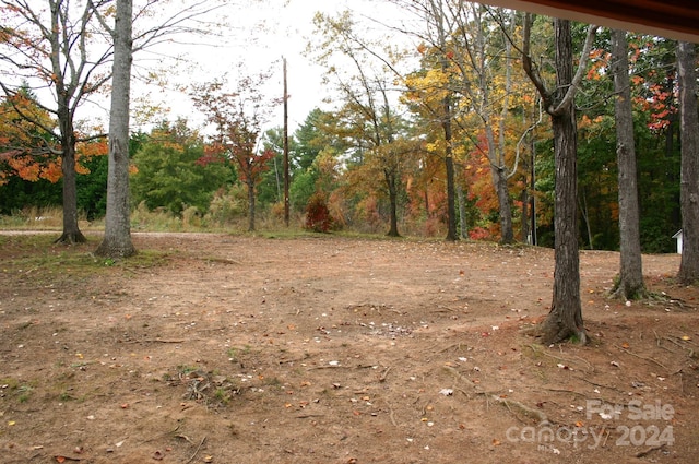 view of local wilderness