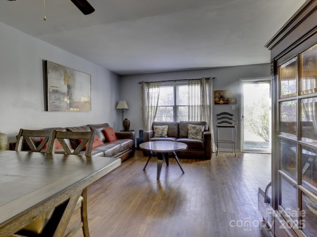 living room with hardwood / wood-style flooring