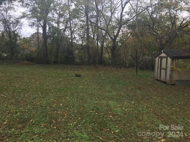 view of yard with a storage shed