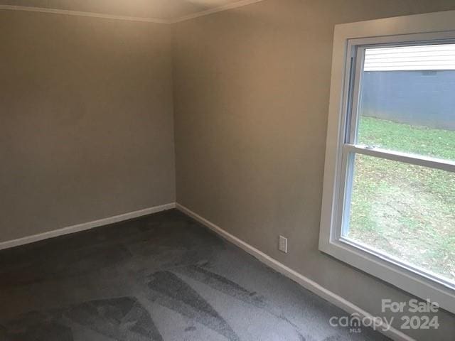 unfurnished room with a healthy amount of sunlight and crown molding