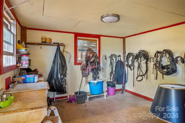 view of horse barn featuring sink