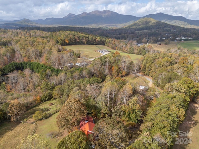 property view of mountains