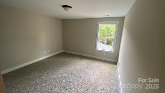 217 Heartland Dr, Rock Hill, SC 29732 - photo 23