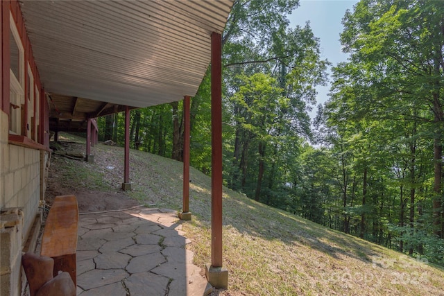 view of yard with a patio area