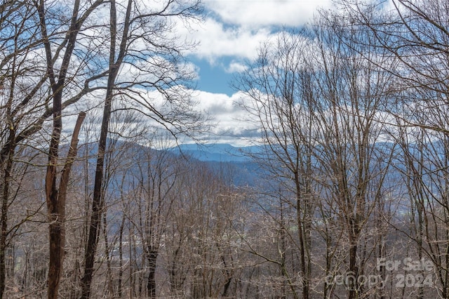 property view of mountains