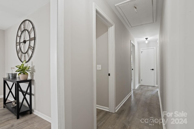 hallway with dark wood-type flooring