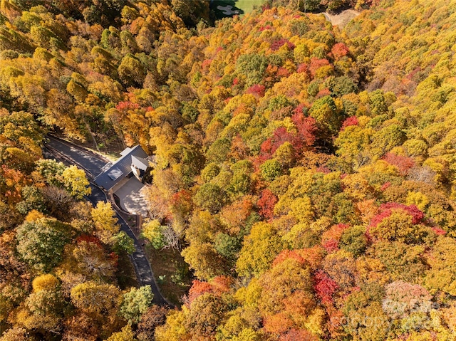 bird's eye view