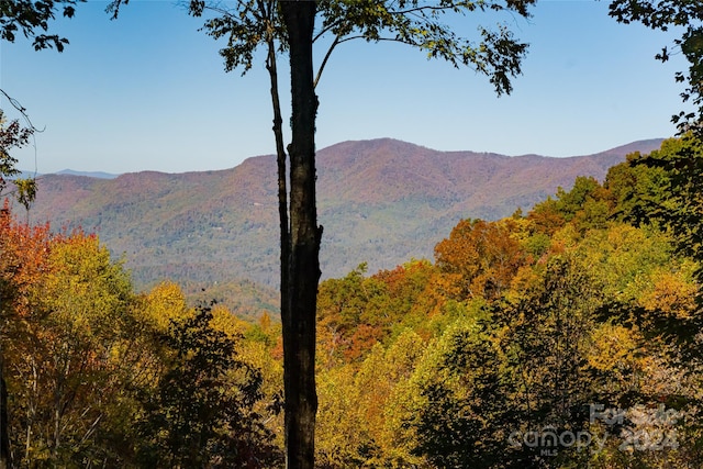 view of mountain feature