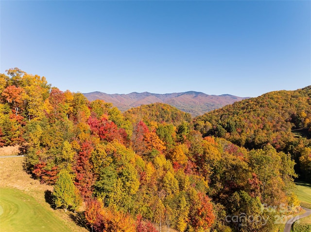 property view of mountains