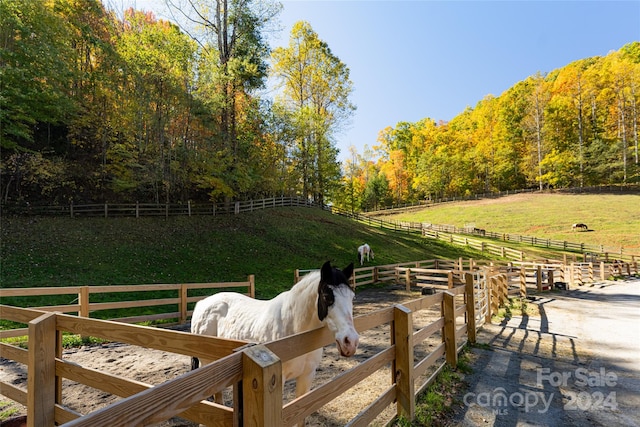 view of yard with a rural view