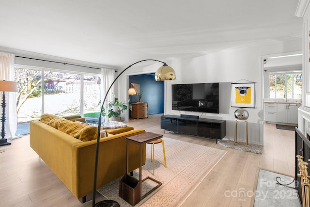 living room featuring light wood-type flooring, a healthy amount of sunlight, and crown molding