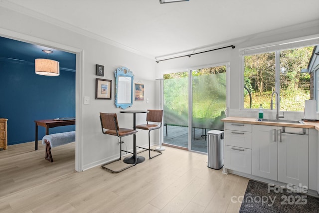 interior space with sink, light hardwood / wood-style flooring, and crown molding