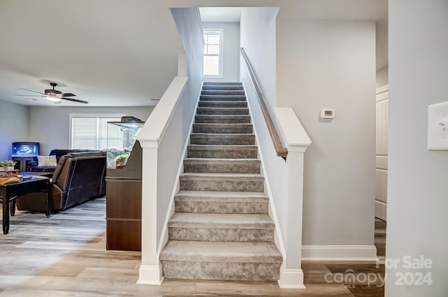 stairway featuring hardwood / wood-style flooring, ceiling fan, and plenty of natural light