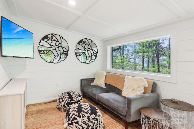 living room featuring wood walls and plenty of natural light