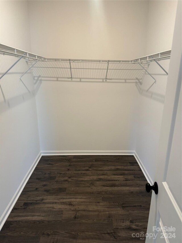 walk in closet with dark wood-type flooring