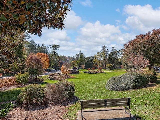 view of community with a lawn