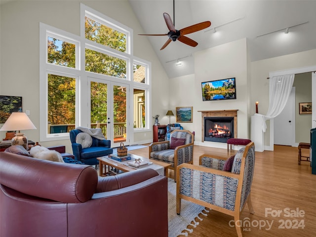 living room featuring a healthy amount of sunlight, high vaulted ceiling, light wood-type flooring, and rail lighting