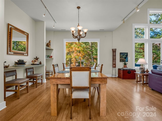 dining area with light hardwood / wood-style flooring, a healthy amount of sunlight, and rail lighting