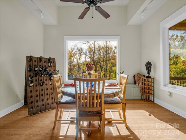 dining area with ceiling fan, a healthy amount of sunlight, and light hardwood / wood-style flooring