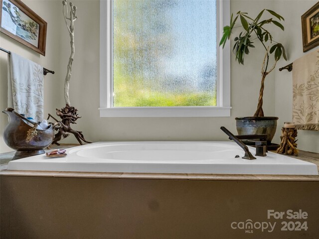 bathroom featuring a healthy amount of sunlight and a washtub