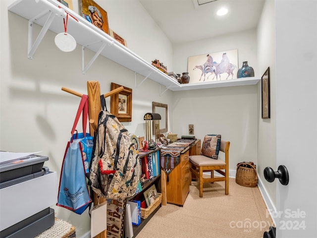 spacious closet with carpet