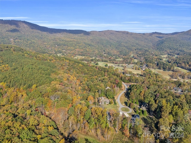 birds eye view of property featuring a mountain view