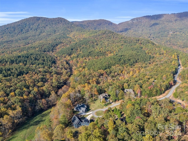 bird's eye view with a mountain view