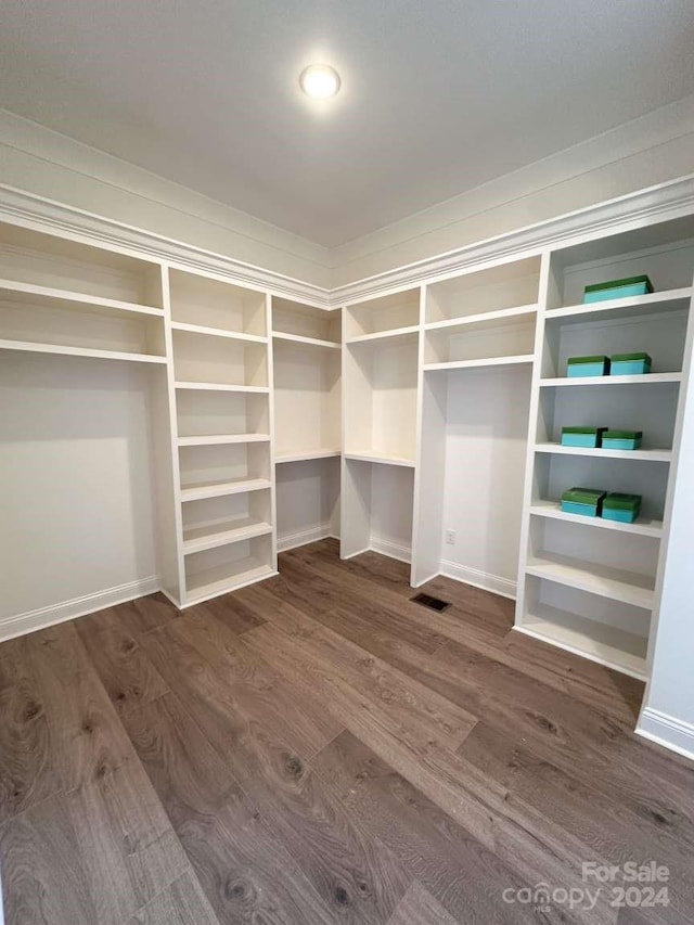 spacious closet featuring dark hardwood / wood-style flooring