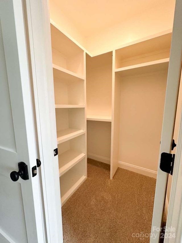 spacious closet with carpet floors