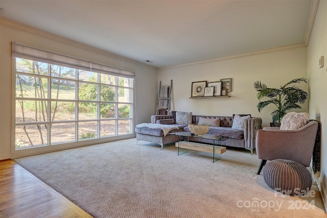 living room with light hardwood / wood-style floors, crown molding, and a wealth of natural light