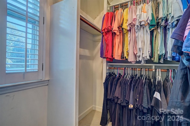 view of spacious closet