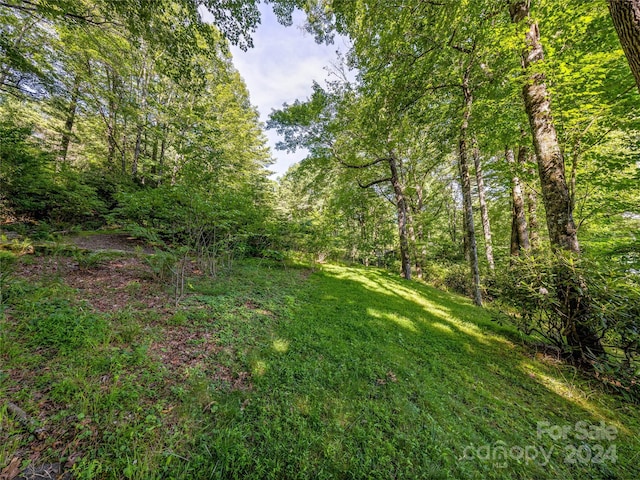 1923 Cold Mountain Rd Unit Ee2Rev, Lake Toxaway NC, 28747 land for sale