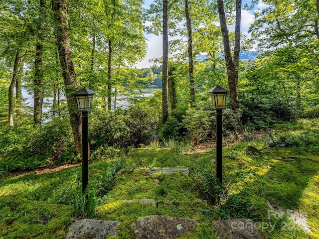 Listing photo 2 for 1923 Cold Mountain Rd Unit Ee2Rev, Lake Toxaway NC 28747